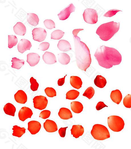 永旺配资 185家科创板公司报喜，首份年报盛美上海净利增151%