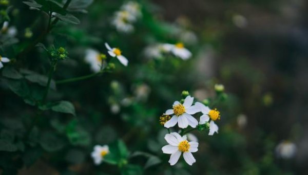 泛策略 放学回家后的3个小时，聪明的父母会这样做，孩子受益一生